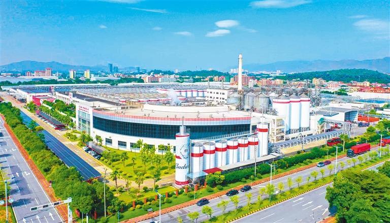 发展产业调研】啤酒业破局麻将胡了2试玩【高质量